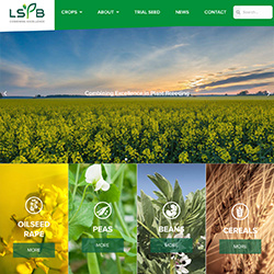 LSPB | Website Design and Build | Printed Adverts
